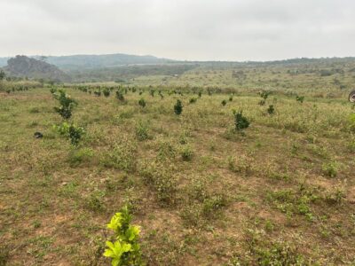 VENDE-SE FAZENDA DE 500 HECTARES – PROVÍNCIA DE MALANJE